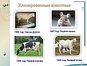 Клонированные животные