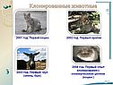 2001 год