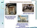 2006 год