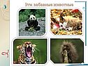 Основы селекции животных