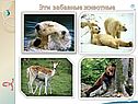 Эти забавные животные