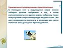 Гормональная суперовуляция и трансплантация