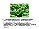 Биологические факторы