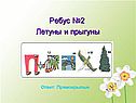 Особенности класса насекомых