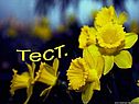 Тест