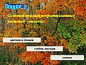 Основной признак покрытосеменных растений