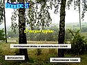 Функции корня