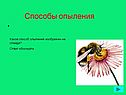 Способы опыления