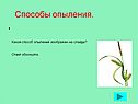 Ответ обоснуйте