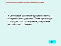 Двойное оплодотворение покрытосеменных растений