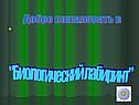 Биологический лабиринт