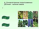 Признак покрытосеменных растений