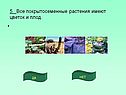 Цветок и плод