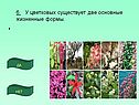 Основные жизненные формы