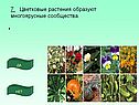 Многоярусные сообщества