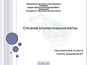 Строение эукариотической клетки