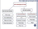 Вакуоли