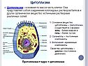 Цитоплазма