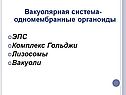 Вакуолярная система- одномембранные органоиды