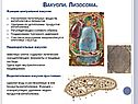 Функции центральной вакуоли