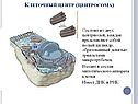 Клеточный центр (центросома)