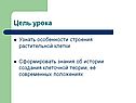 Особенности строения