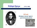 Роберт Броун
