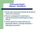 Клеточная теория