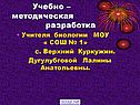 Разработка