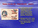 Первая помощь при повреждениях скелета