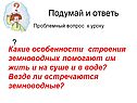 Особенности строения земноводных