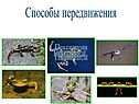 Способы передвижения