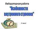 Особенности внутреннего строения