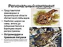 Региональный компонент