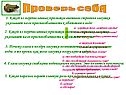 Короткое тело
