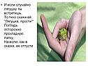 Лягушка, прости
