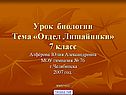 Урок биологии Тема «Отдел Лишайники» 7 класс