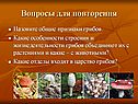 Отдел лишайники