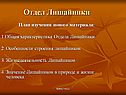 Отдел Лишайники