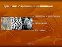 Три типа слоевищ лишайников