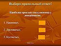 Выбери правильный ответ