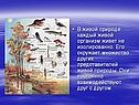 Отношения между организмами
