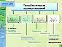 Типы биотических взаимоотношений