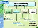 Симбиоз