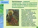 Протокооперация