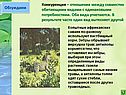 Конкуренция
