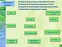 Отношения организмов в экосистеме