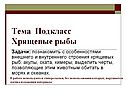Тема Подкласс Хрящевые рыбы