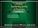 Класс Хрящевые рыбы (630 видов)