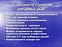 Особенности строения хрящевых рыб: